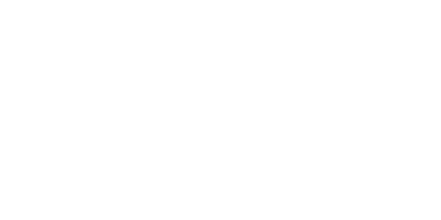 Google Partner white logo